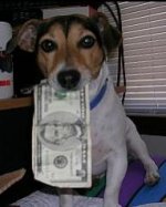 Nigger Hatin Dog.jpg